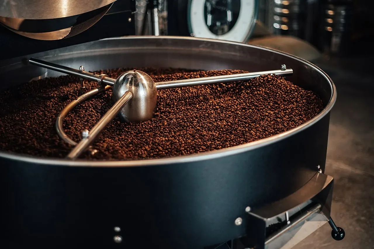 Frisch geröstete Kaffeebohnen im Kühlsieb des Trommelrösters, ein Rührarm zieht durch die Bohnen.